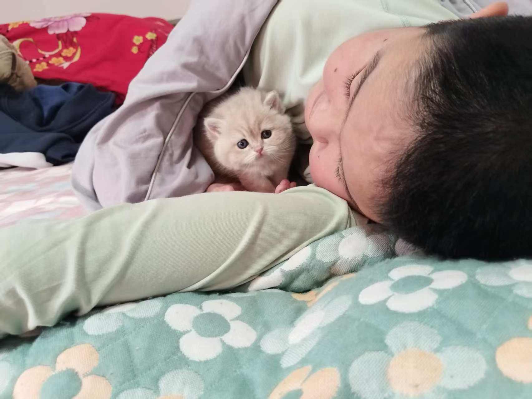 熊板蓝金焦糖妹妹